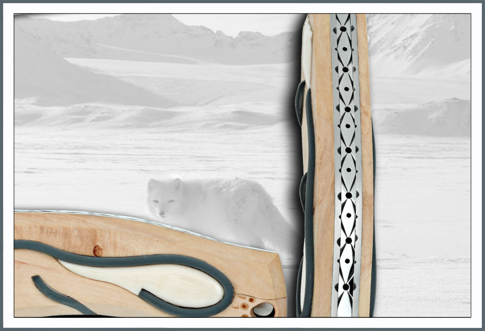 Musher renard detail